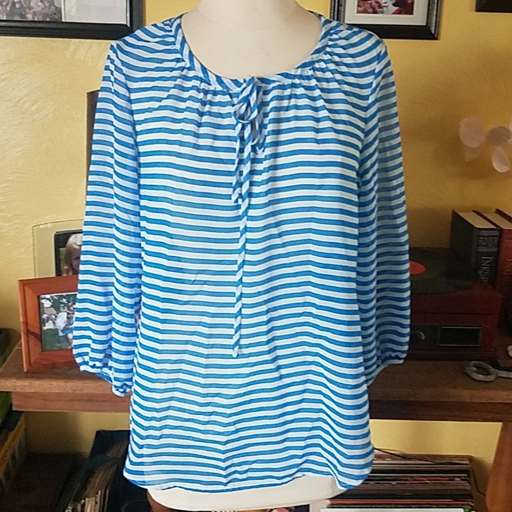 Womyn Blue Stripe Blouse